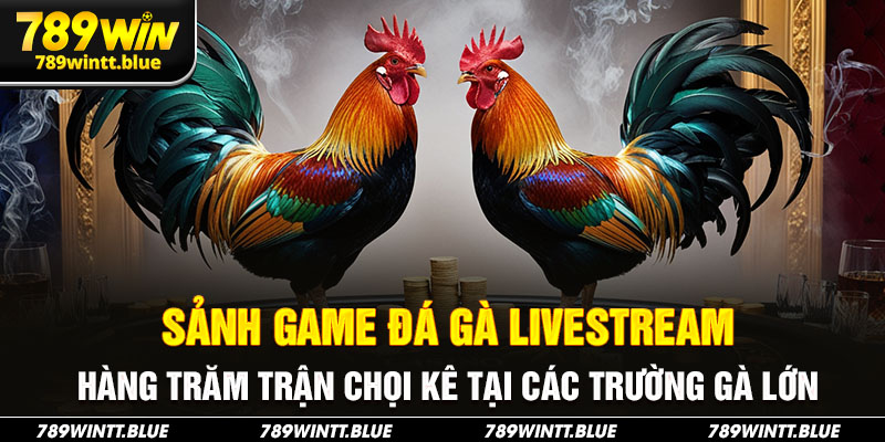 Sảnh game đá gà livestream hàng trăm trận chọi kê tại các trường gà lớn